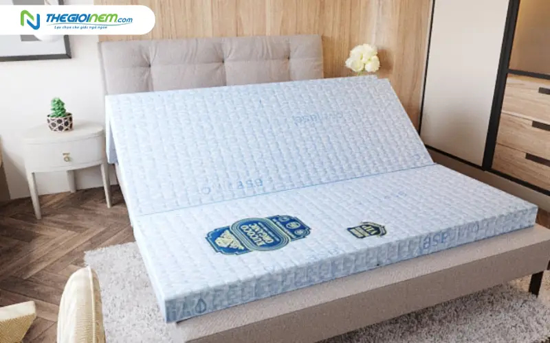 nệm xơ dừa kim cương