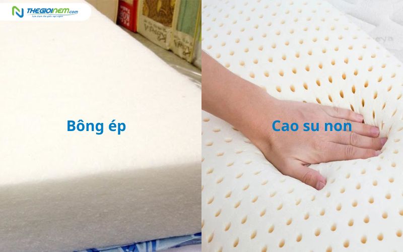Nệm bông ép và nệm cao su non