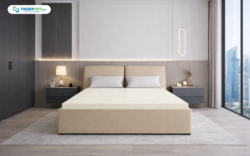 nệm cao su vạn thành