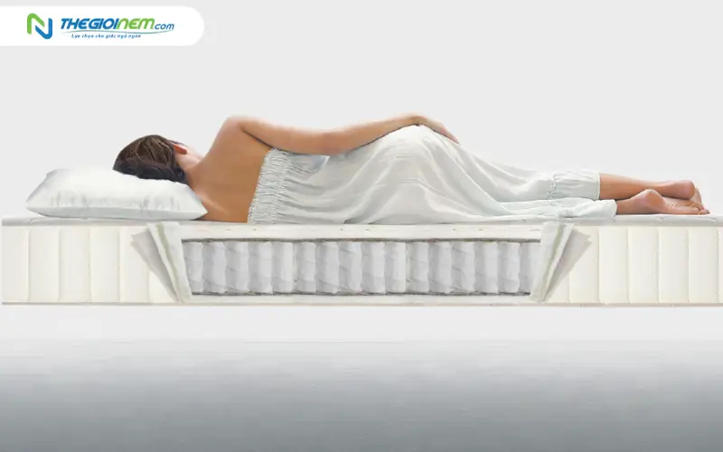 Hệ thống khung lò xo