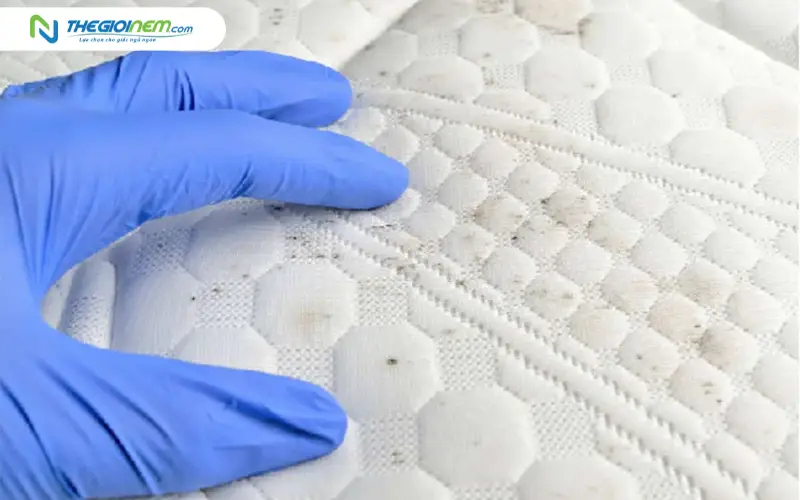 Nguy cơ nấm mốc do không làm khô triệt để