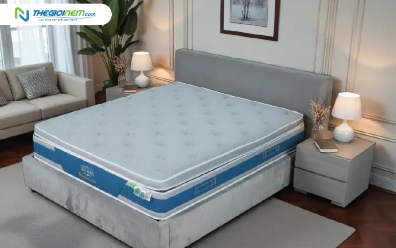 nệm lò xo túi tatana supreme latex