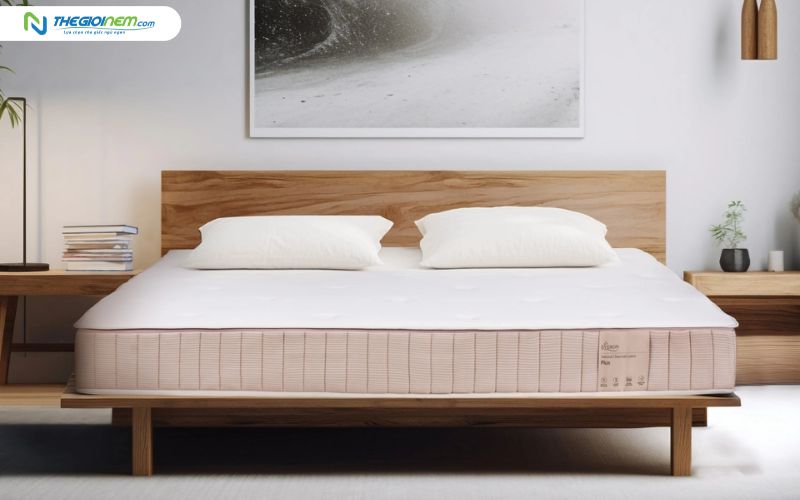 Nệm cao su Everon Natural Charcoal Latex Plus