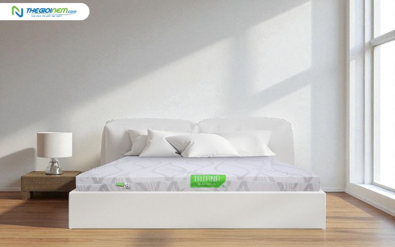 Nệm cao su Tatana Standard