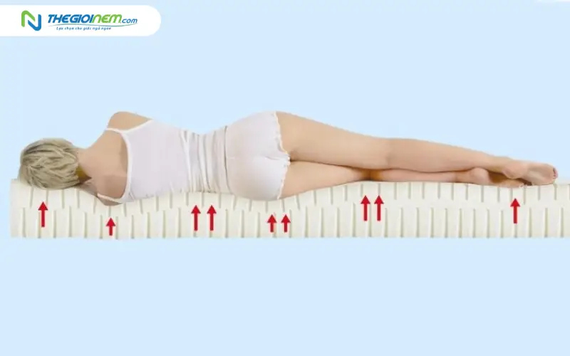 Đặc tính nâng đỡ đa điểm của cao su thiên nhiên