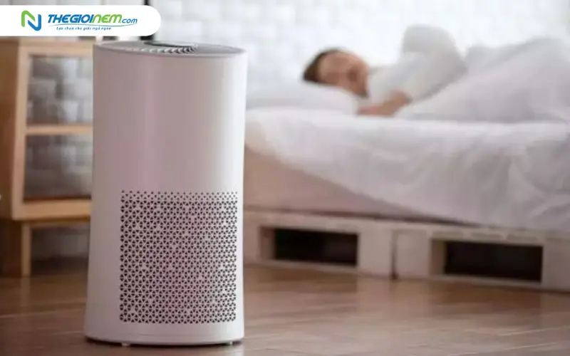 Dùng máy lọc không khí hoặc tinh dầu tự nhiên