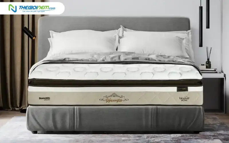 Phân khúc cao cấp