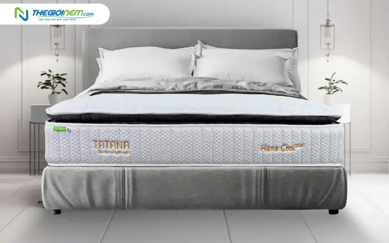 Phân khúc tầm trung