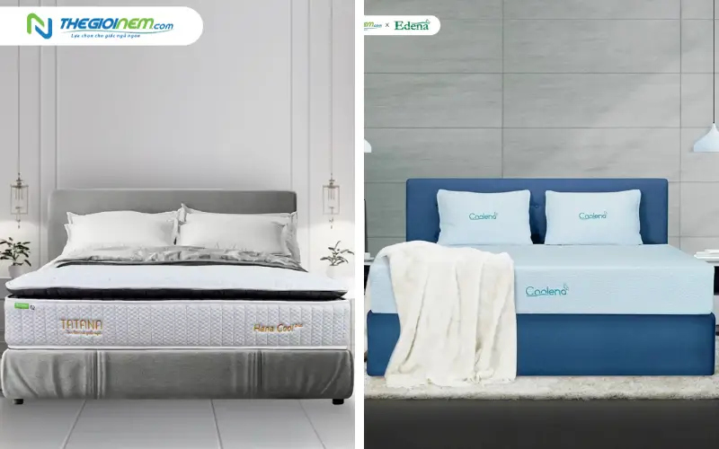 Giá thành và phân khúc thị trường