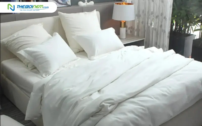 Vải Tencel là gì?