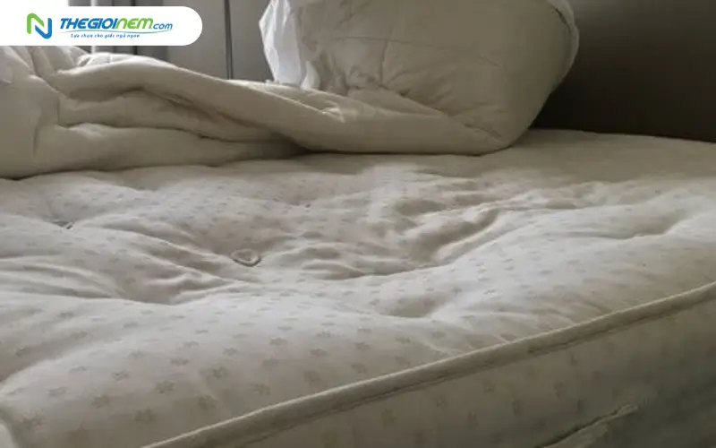 Các lỗi được nhà sản xuất chấp nhận bảo hành