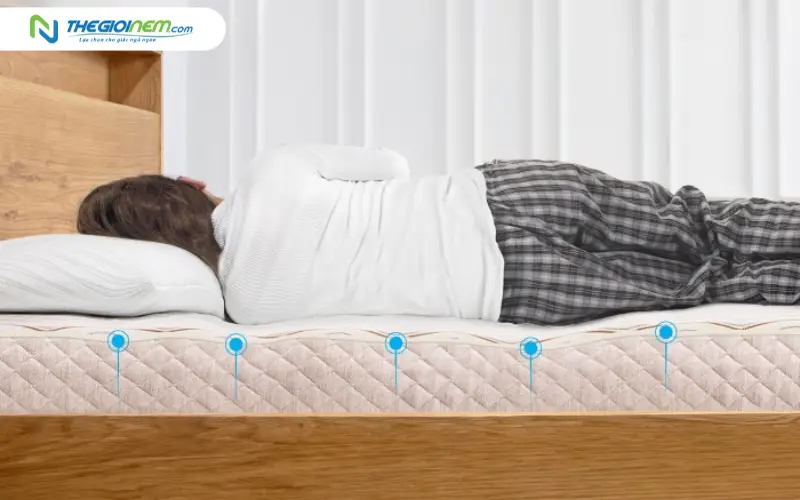 Cấu trúc nâng đỡ và thiết kế đa vùng