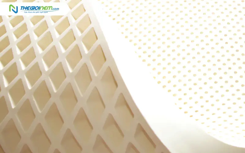 Công nghệ kháng khuẩn và cấu trúc lỗ thông hơi