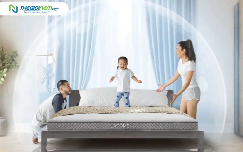 Khả năng kháng khuẩn và khử mùi