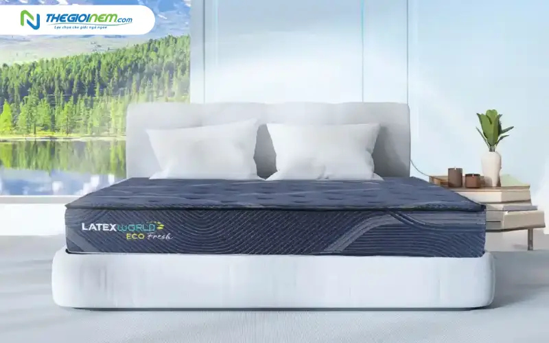 Nệm cao su Dunlopillo