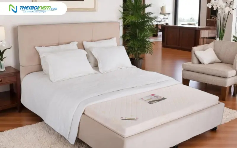 Ai nên chọn nệm mút