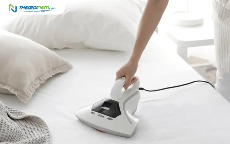 Hướng dẫn vệ sinh và bảo quản nệm cao su non luôn bền đẹp