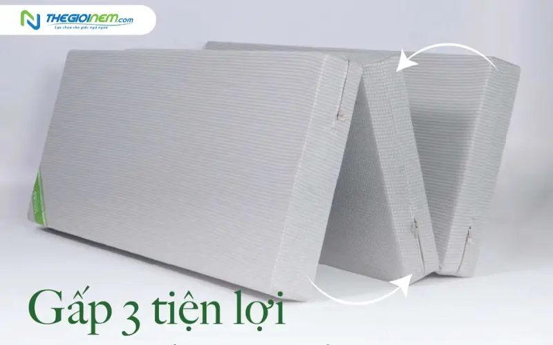Nệm bông ép gấp 3 Eco Cool TATANA