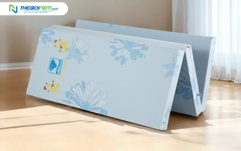 Nệm bông ép Kim Cương Acness