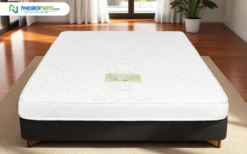 Nệm Mousse Foam Vạn Thành BH 10 Năm