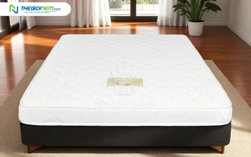 Nệm Mousse Foam Vạn Thành BH 10 Năm