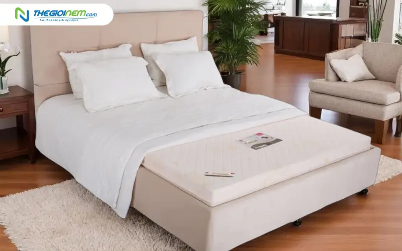 Nệm Mousse Premium Vạn Thành BH 12 Năm