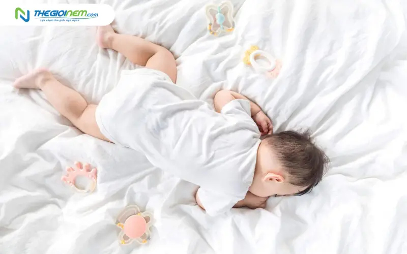 Cấu trúc xương sống của trẻ sơ sinh