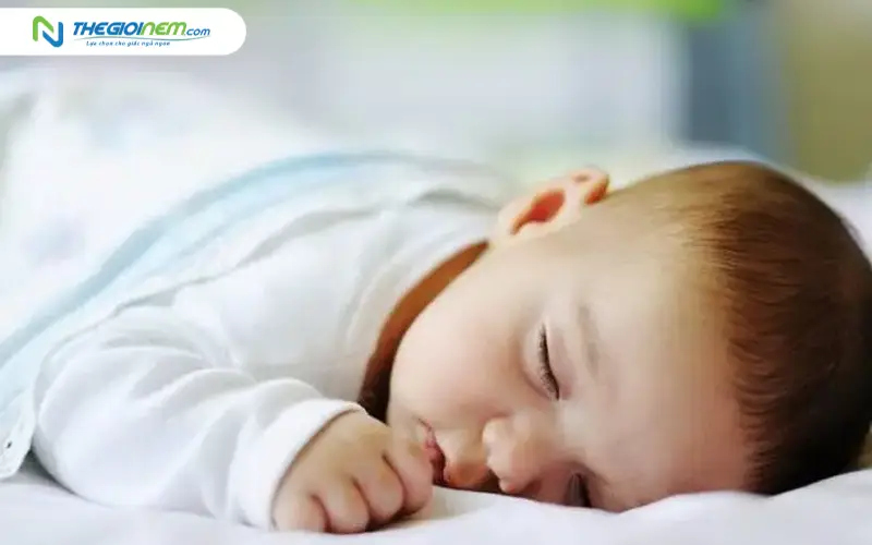 Khả năng kháng khuẩn và chống dị ứng