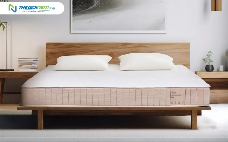 Nệm cao su Everon Natural Charcoal Latex Plus