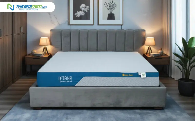 Nệm foam đa tầng cao su Sleep Lux TATANA