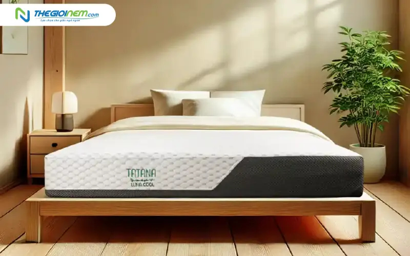Nệm Foam TATANA Luna Cool