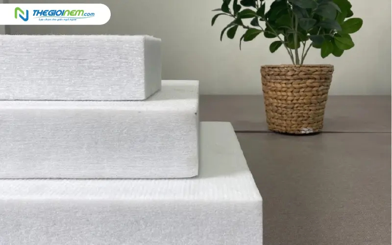 Chú trọng độ dày