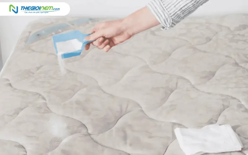 Hướng dẫn vệ sinh nệm gấp 3 đúng cách tại nhà