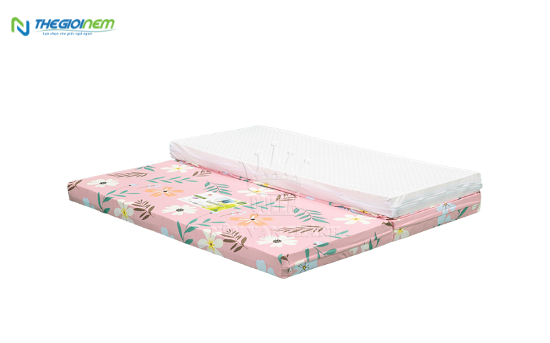 Mua nệm Vạn Thành mỏng 3cm ở đâu giá tốt?