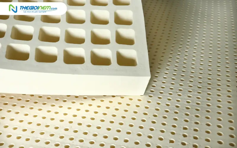 Nệm cao su thiên nhiên là gì