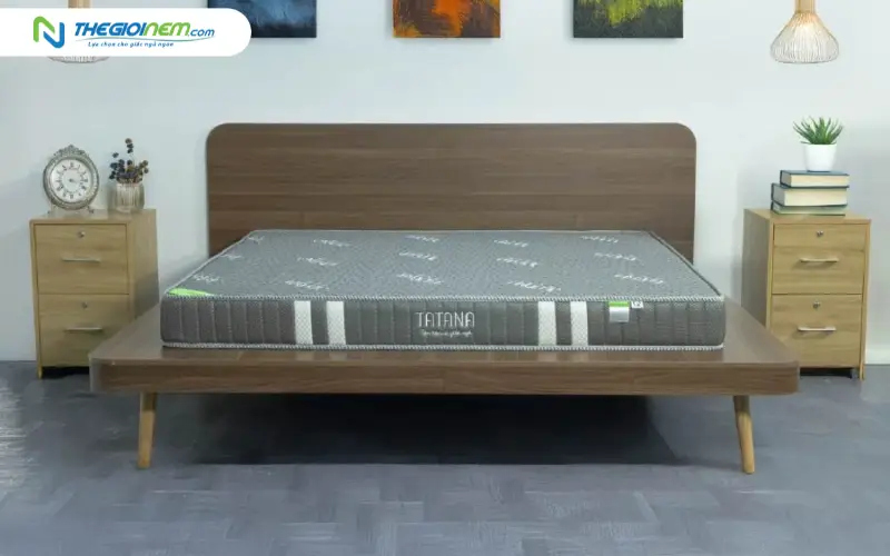 Nệm cao su tổng hợp TATANA là gì