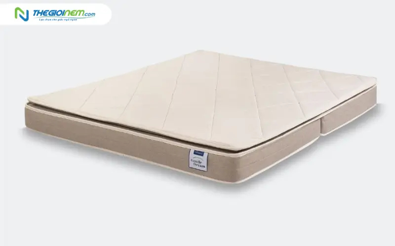 Nệm xếp cao su non/Foam