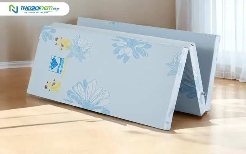 Nệm bông ép Kim Cương Acness