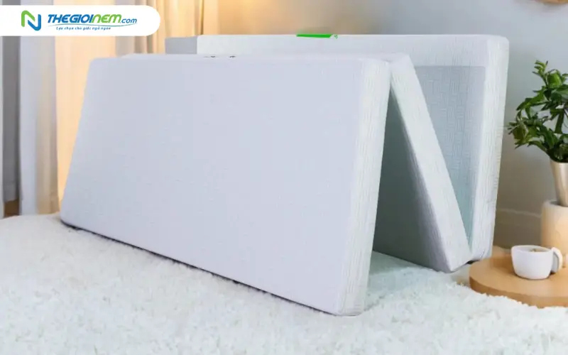 Nệm cao su nhân tạo mát lạnh gấp 3 TATANA