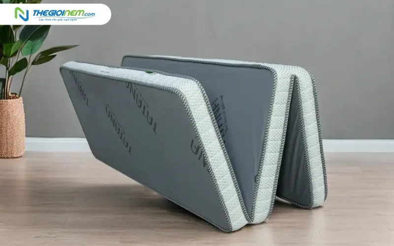 Nệm ép dẻo TATANA gấp 3