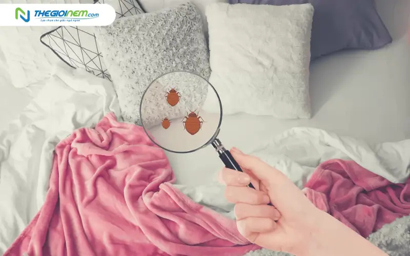 Ngăn chặn nấm mốc và mùi hôi từ chất lỏng