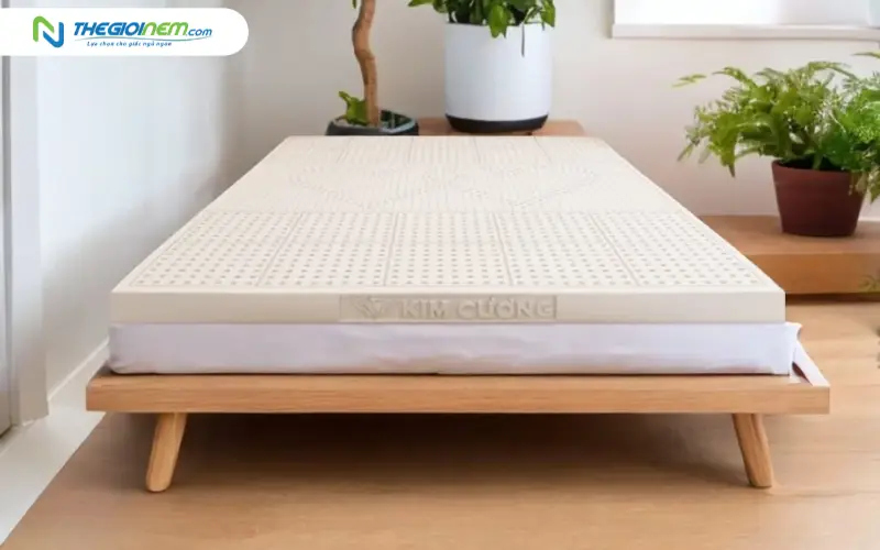 Nệm cao su Kim Cương 3Zone