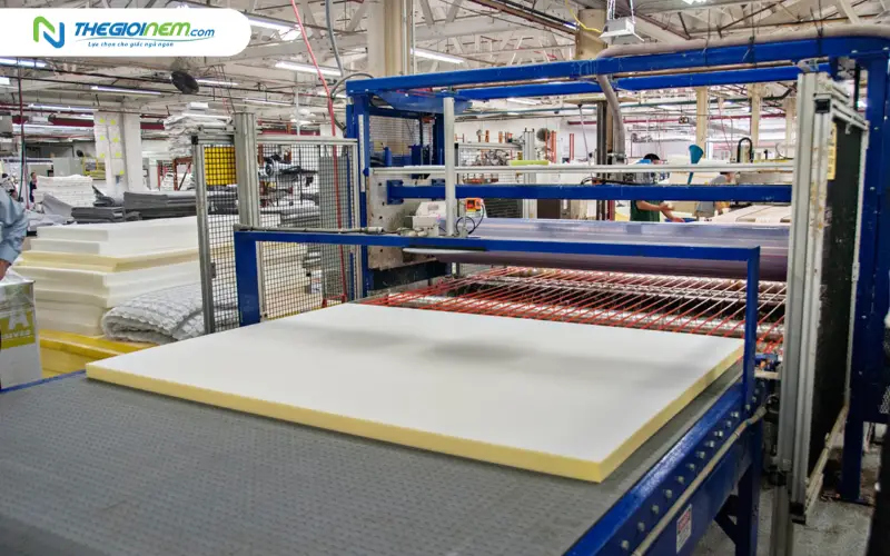 Công nghệ sản xuất nệm TATANA