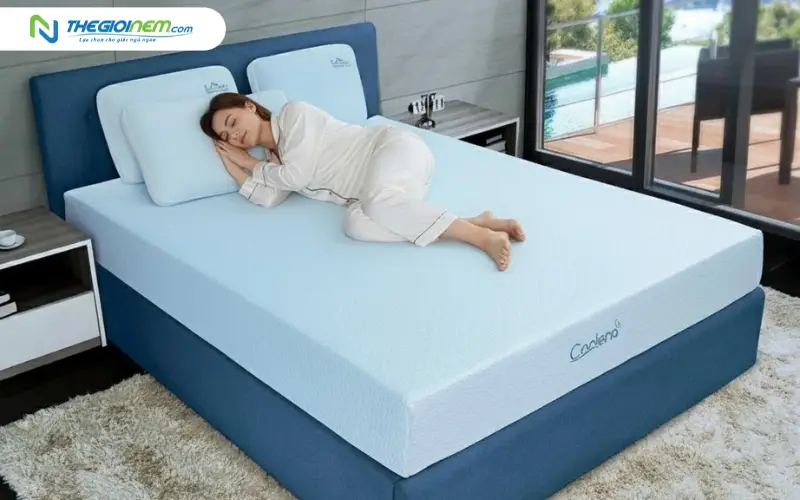 Độ đàn hồi và nâng đỡ tốt