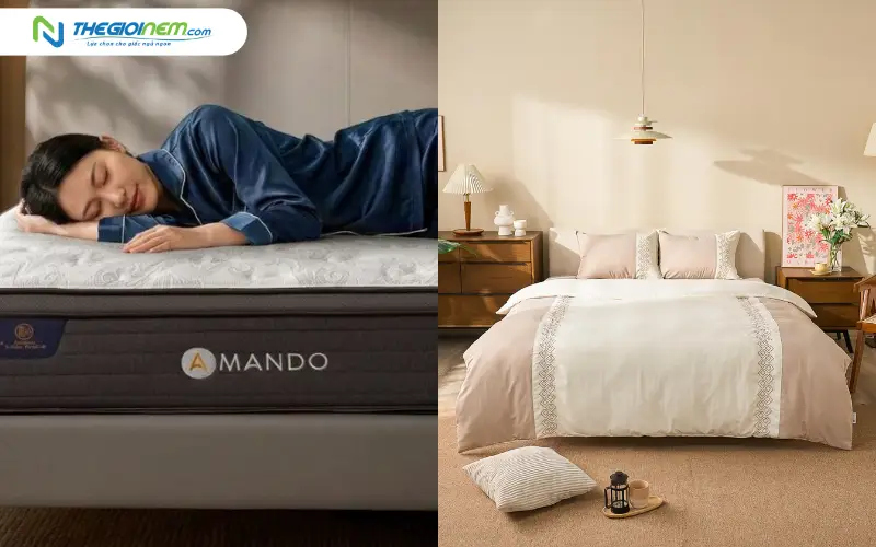 Các dòng sản phẩm của Amando