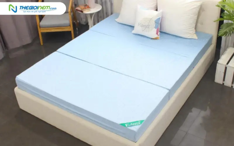 Nệm bông ép Edena