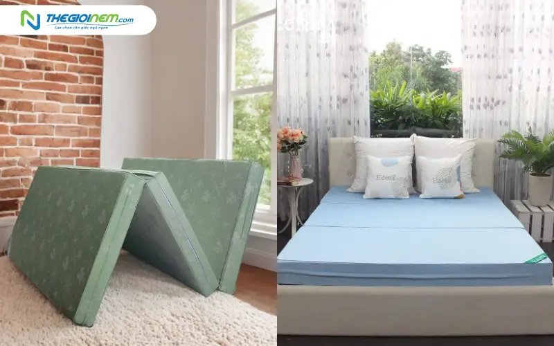 Nệm bông ép Everon vs nệm bông ép Edena
