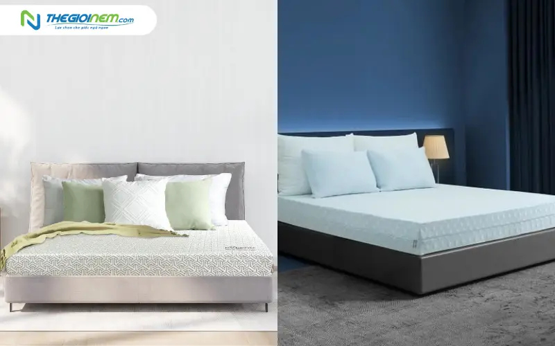 Nệm cao su Everon vs nệm cao su Edena