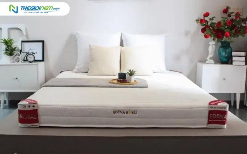 Nệm Foam Edena