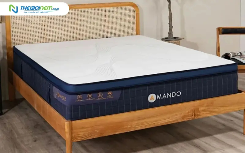 Nệm lò xo Amando Innovation